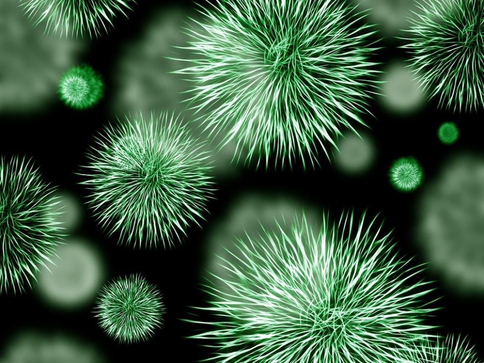 El nuevo antibiótico es una toxina, una proteína que solo es tóxica para las bacterias malas.