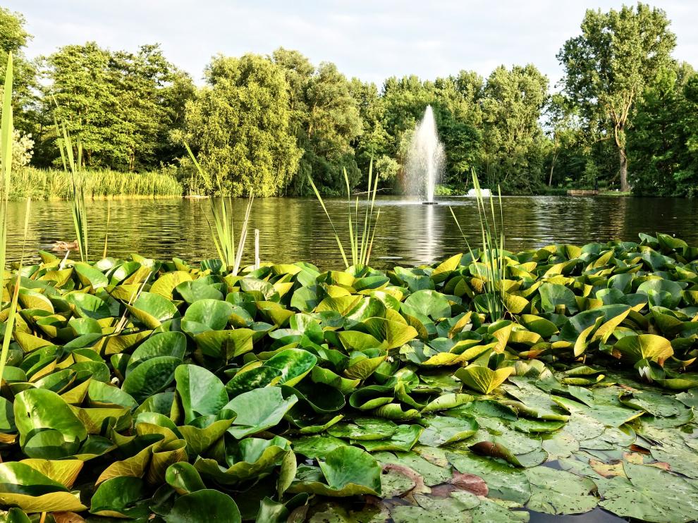 El viaje de la ninfa