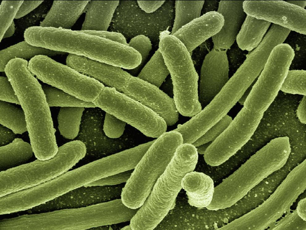 Investigadores españoles diseñan antibióticos que atacan solo las bacterias 'malas' y evitan resistencias.