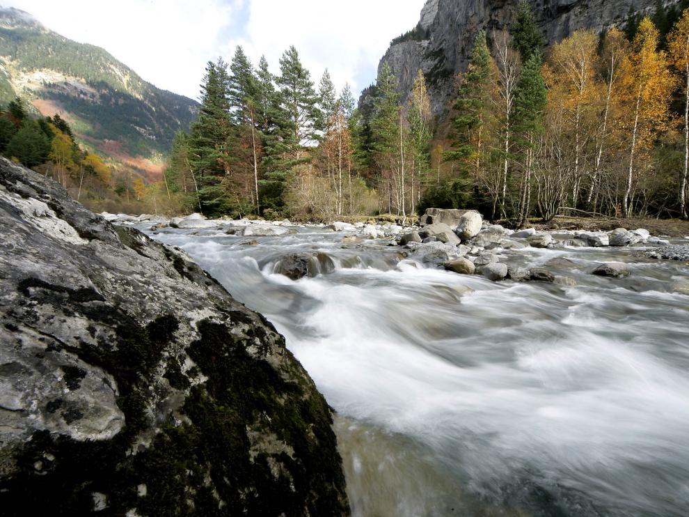 Los sonidos de la naturaleza nos ayudan a relajarnos.
