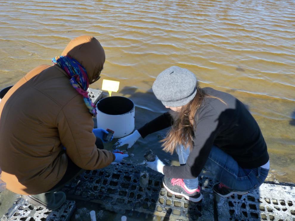 Investigadores recogen muestras de la salina de Bujaraloz (Zaragoza).