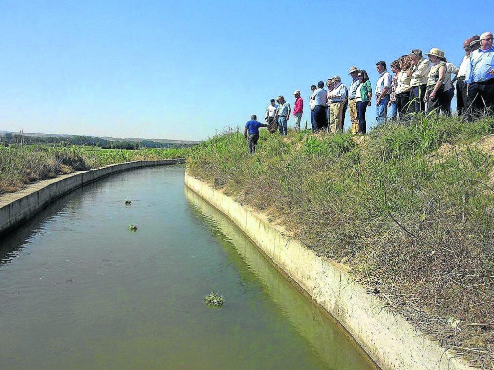 Un grupo de personas observa el recorrido que realizan los fajos de hierba camino del partidero de Almisén.