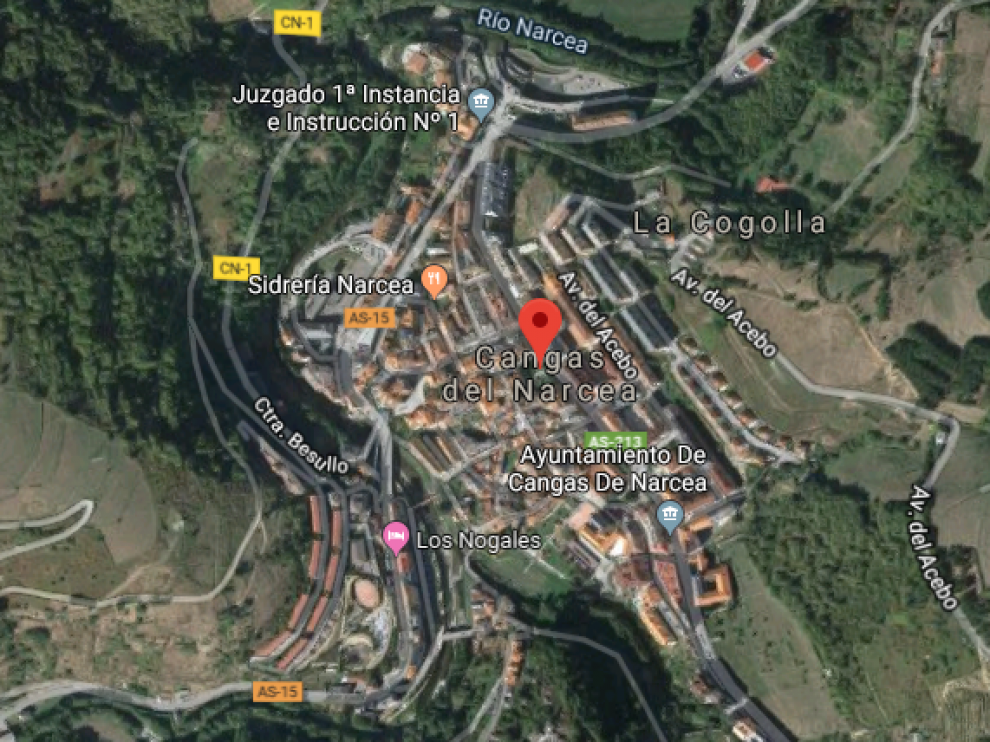 Los hechos tuvieron lugar en una vía en la localidad de Cangas del Narcea, Asturias.