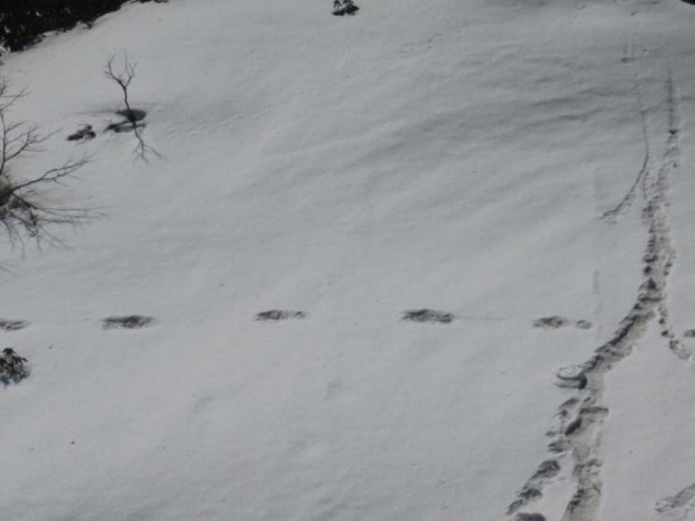 Las supuestas huellas del Yeti publicadas por el ejército indio.