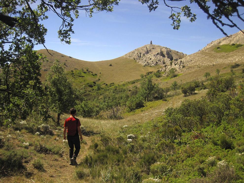 Quejigar antes de abandonar la zona con vegetación, camino de la cima de la peña Palomera.