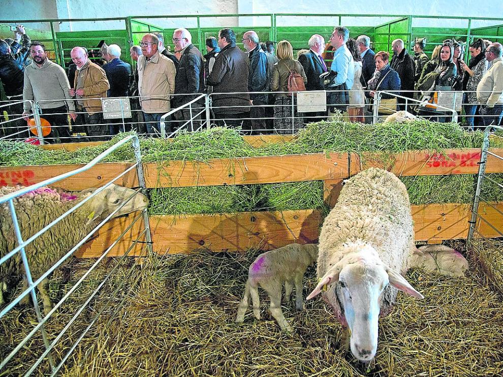 La feria Valga abrió ayer sus puertas con una variada oferta agrícola, comercial y ganadera.