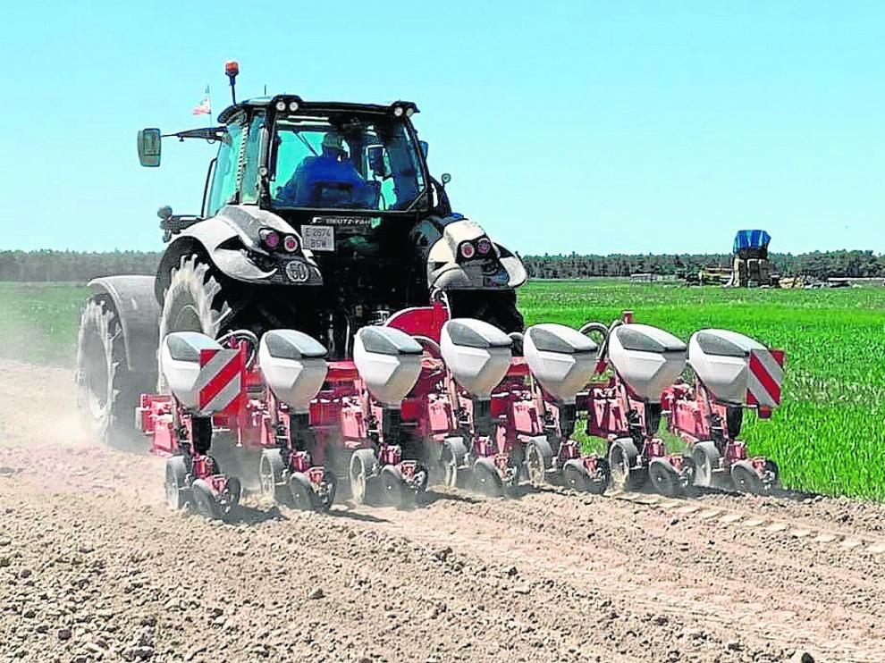 Un agricultor realiza las labores de siembra de maíz en una explotación aragonesa.