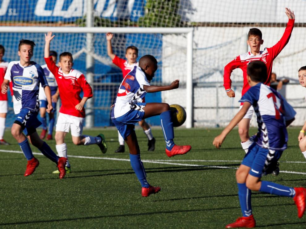 Fútbol. Alevín Preferente- Ebro vs. Venecia.