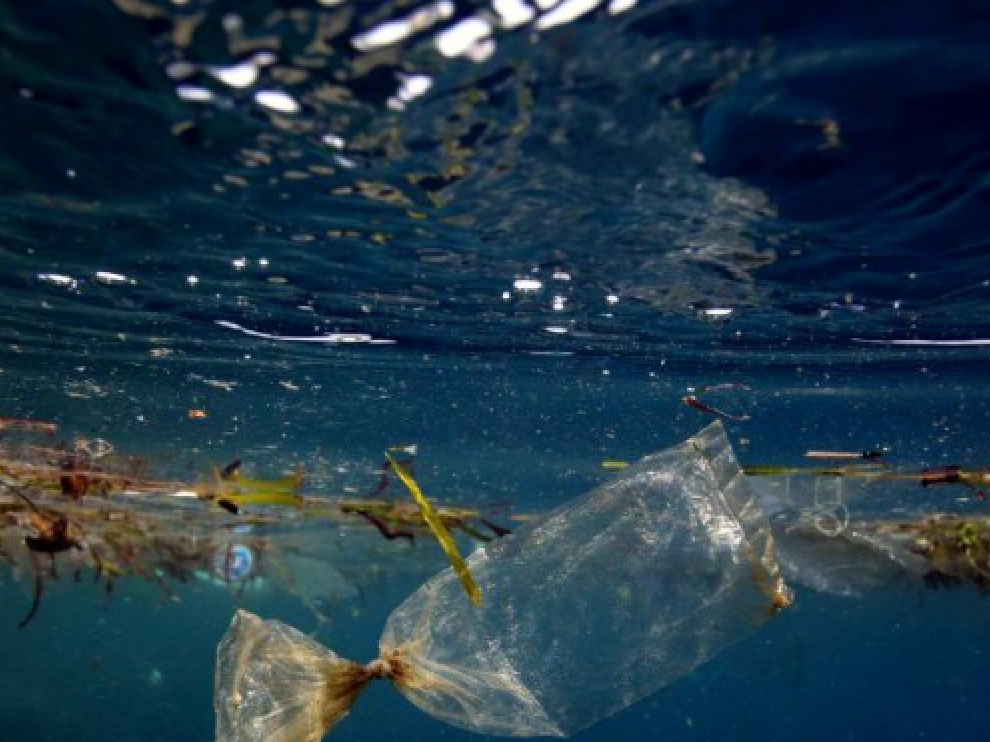 Más allá de criaturas marinas descubrió algunos objetos de procedencia humana, como una bolsa de plástico y algunos envoltorios de caramelos.