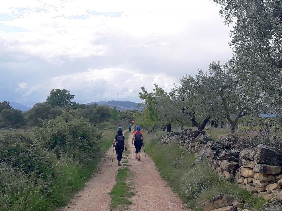 Nordic walking en el Somontano: camino de la Sierra Alta desde Salas Altas.