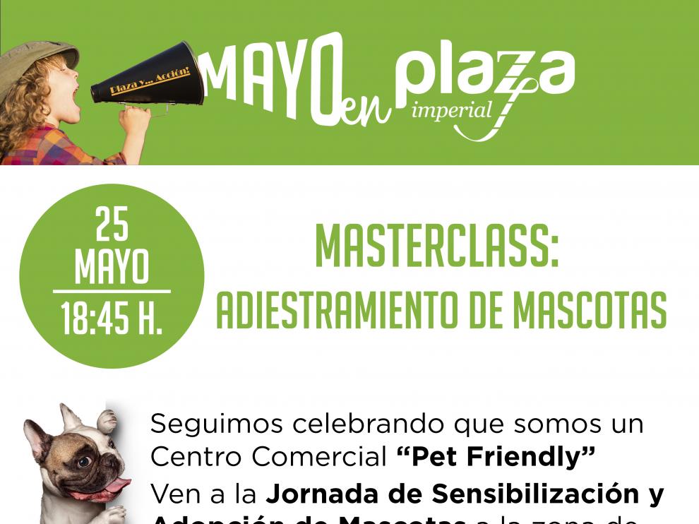 Masterclass de adiestramiento de mascotas.