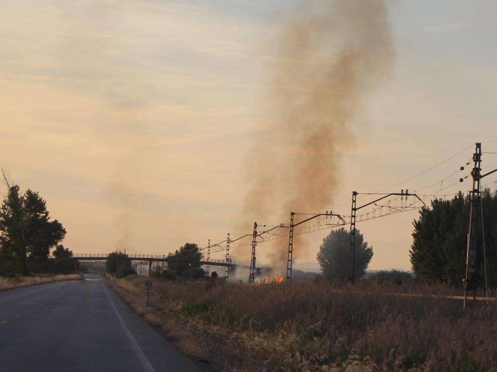 Imagen de algunos de los focos próximos a la carretera A-1210.