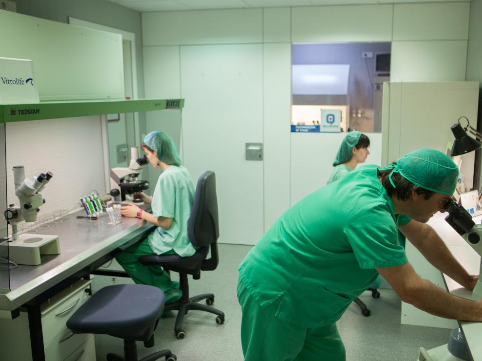 La unidad de reproducción asistida de Quirónsalud.