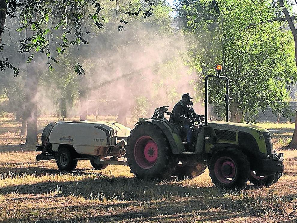 El tratamiento ha empezado a aplicarse esta semana en zonas verdes de Fraga.