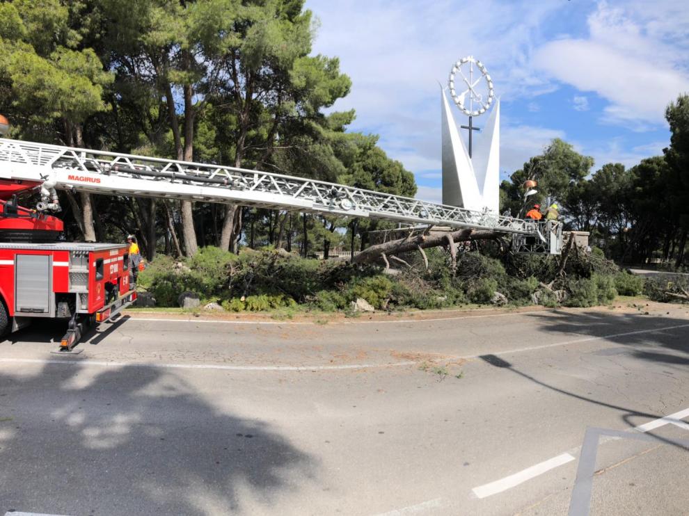 Retiran un árbol caído en el Parque de Atracciones de Zaragoza.
