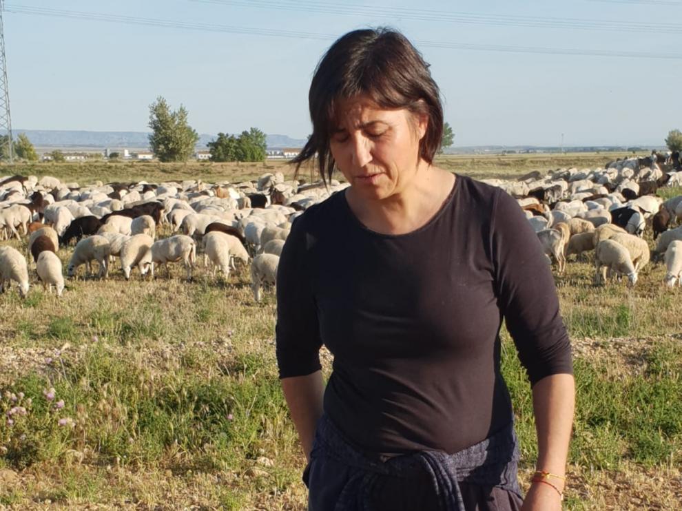 Mariola Gomara, junto a sus ovejas y su perro, en la granja familiar.