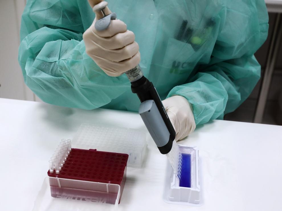 En Aragón se realizan más de 500 pruebas de paternidad al año.