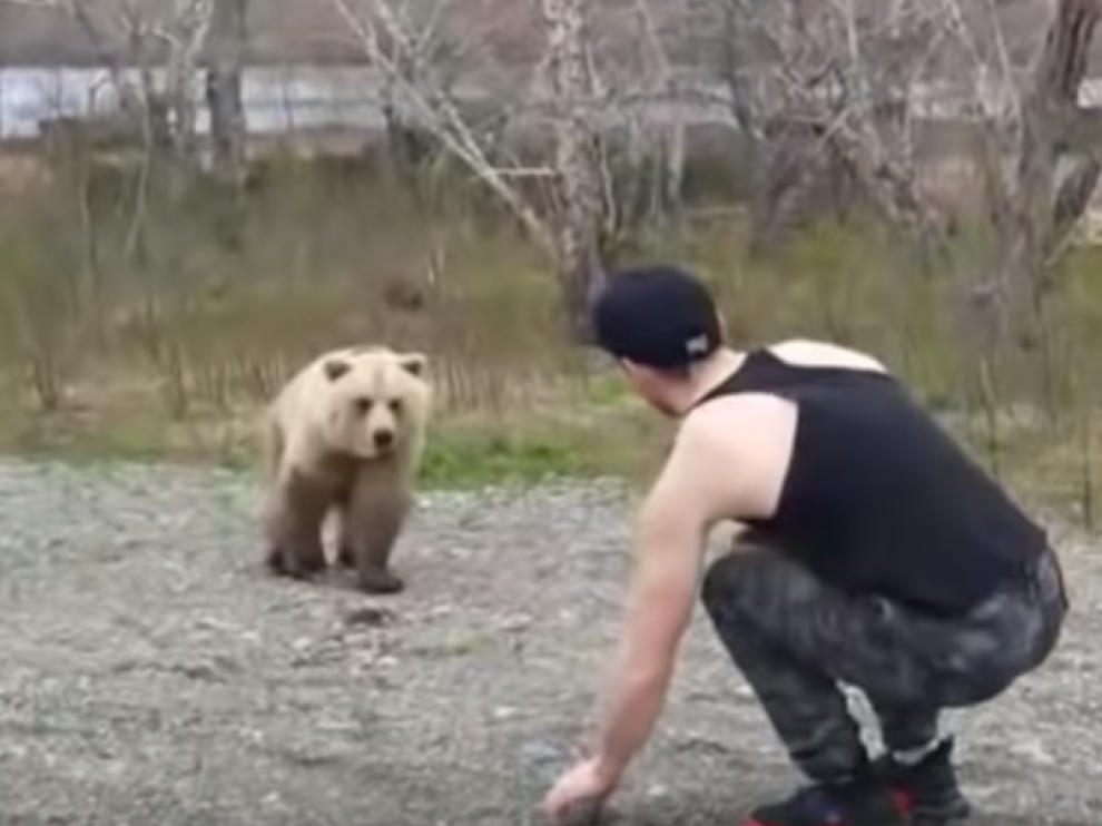 El turista se topó con un oso salvaje por la península de Kamchatka.