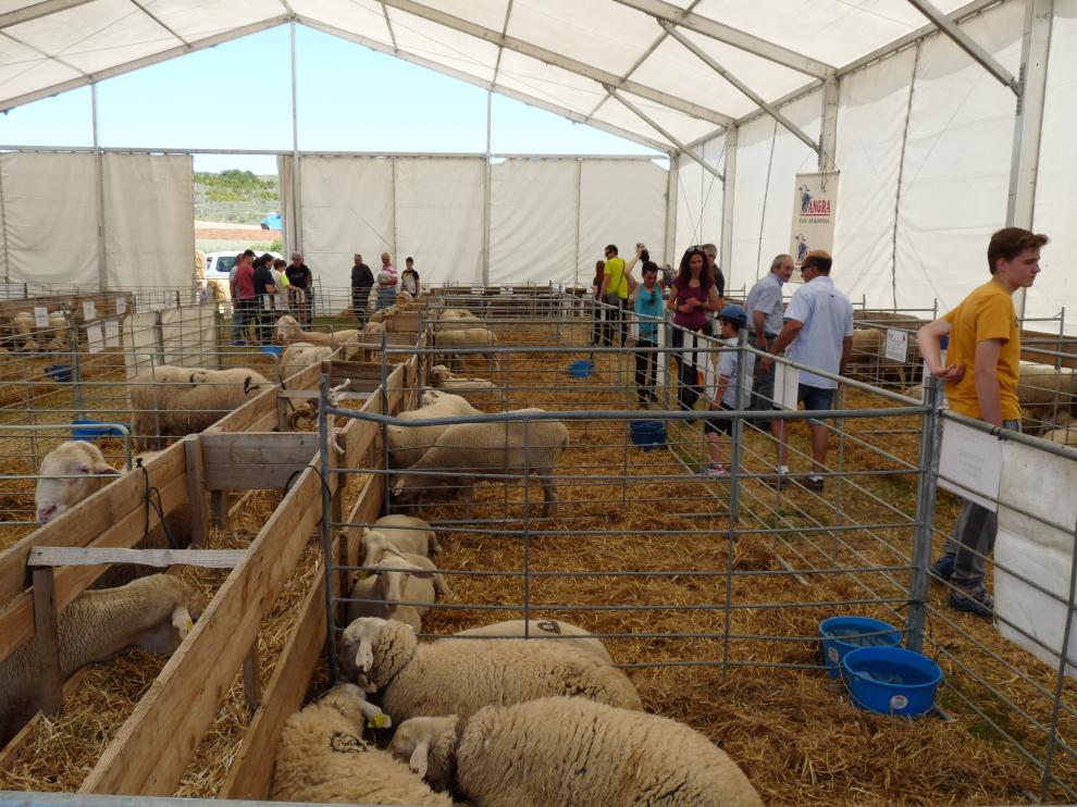 Expoforga 2019, en Puente de la Reina de Jaca.