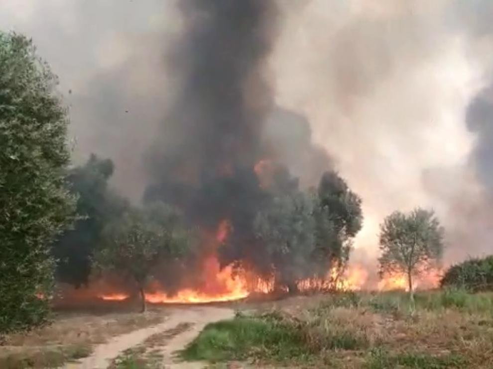 Incendio entre Codo y Belchite