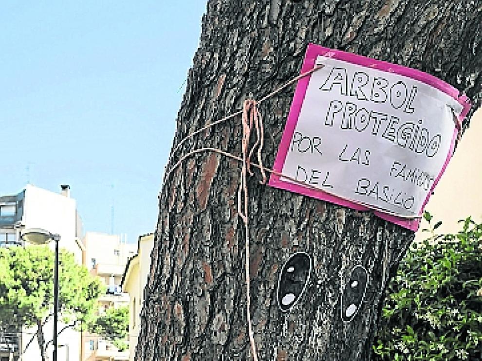 Uno de los pinos aún en pie