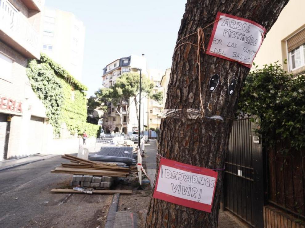 Uno de los árboles de la calle de Bruno Solano con los carteles pegados por los alumnos y las familias del colegio Basilio Paraíso