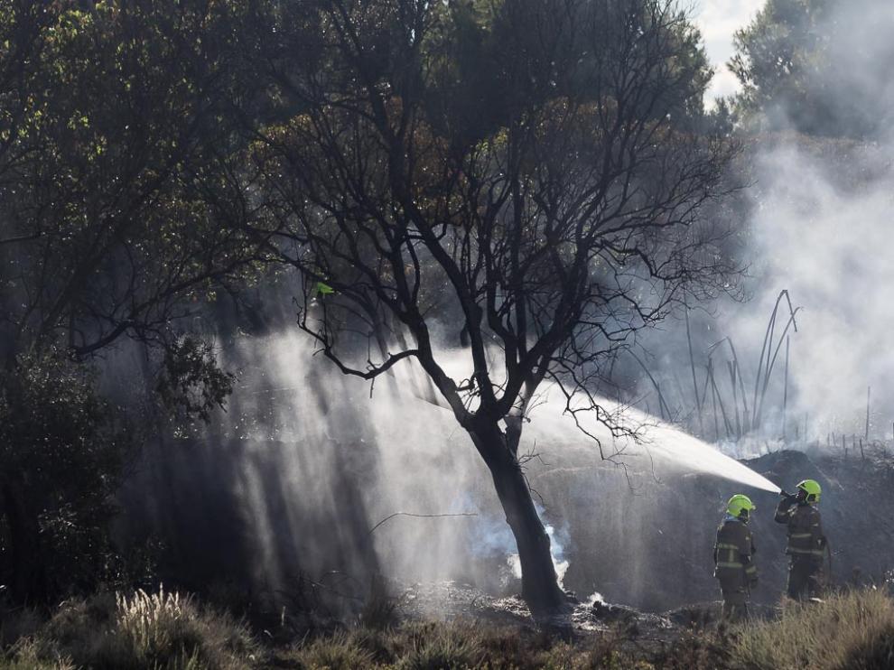 Se trata de un incendio forestal en la calle Marcelino Álvarez del zaragozano barrio de Casablanca, cerca de la Cooperativa de Auto Taxi.