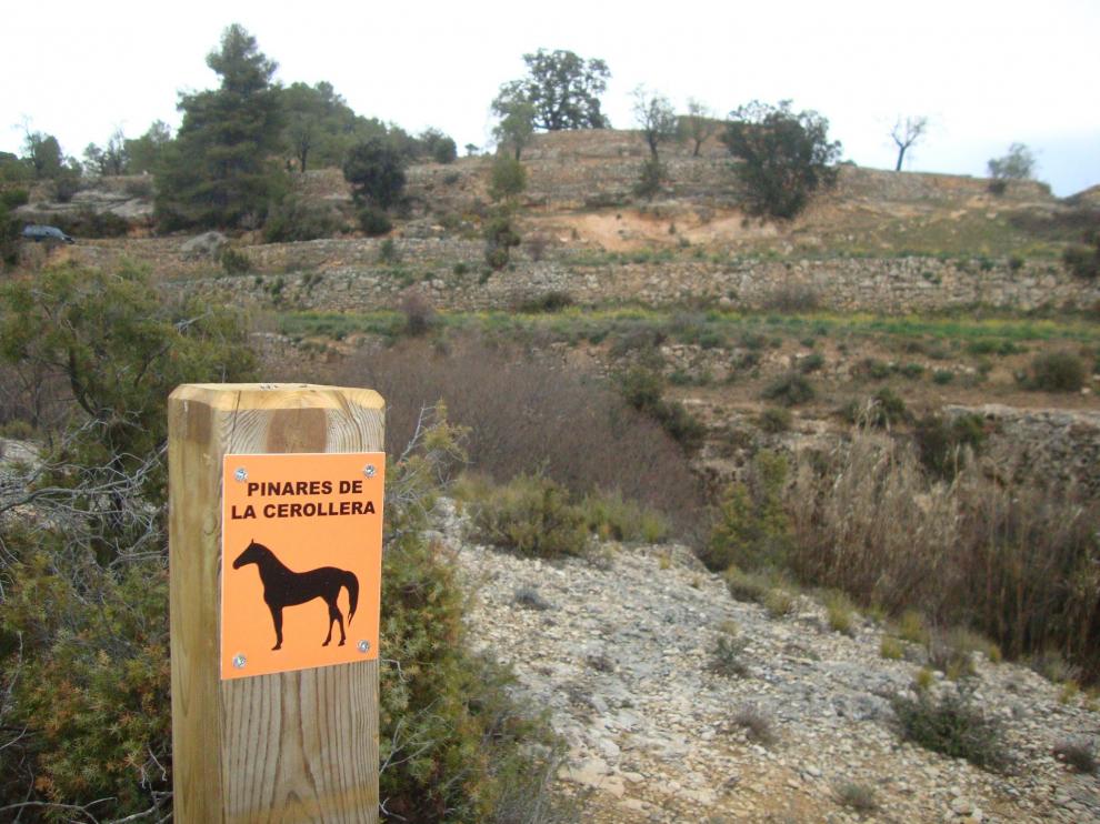 Las señales de la ruta ecuestre se distinguen por su color azul y contienen la figura de un caballo.