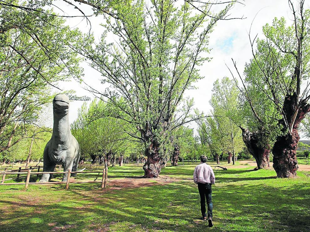 Los expertos de la Unesco visitarán los yacimientos de dinosaurios de Galve, entre otros lugares