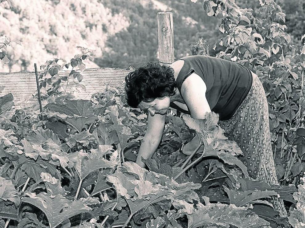 Una de las imágenes, en la que se puede ver a una mujer realizando labores agrarias.