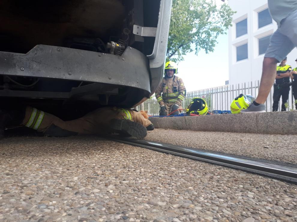 Un bombero rescatando al animal