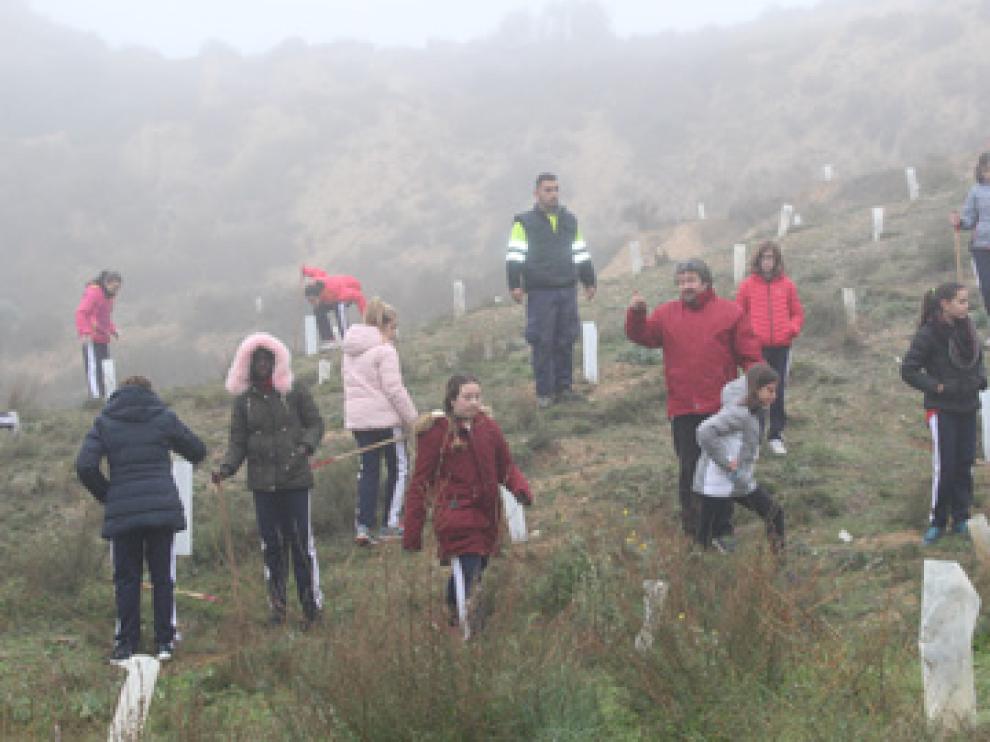 Salida al campo para participar en una plantación con escolares.