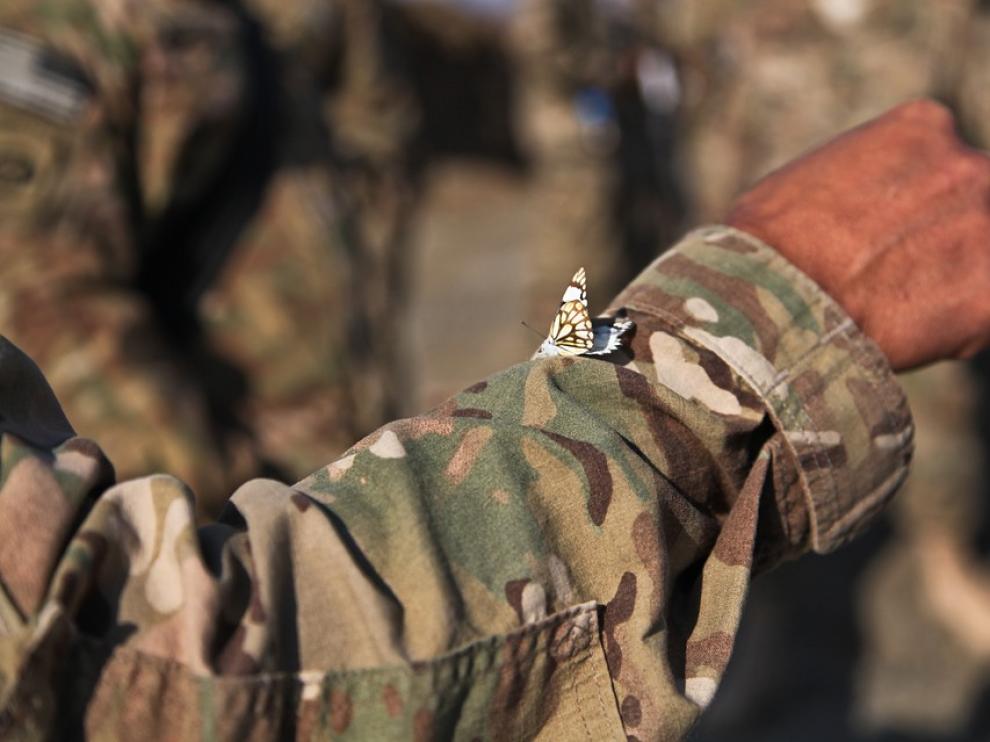Una mariposa sobre el uniforme de un soldado en Afganistán