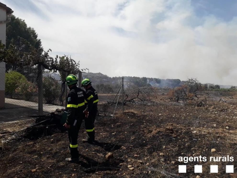 Más de 30 cuadrillas helitransportadas y terrestres participaron en la extinción.