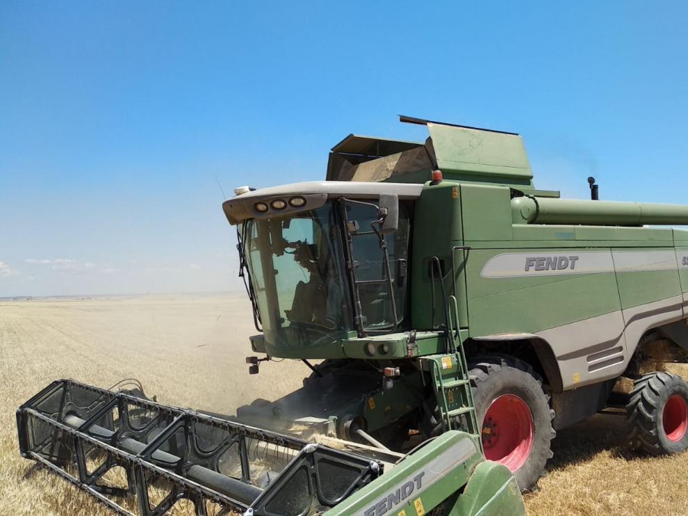 Un agricultor realiza las labores de recolección de cereal en Aragón.