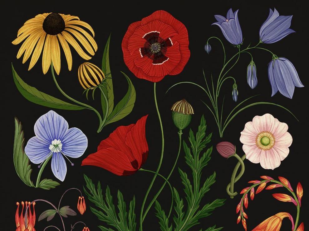 ‘Sublime Botanicum’, obra de la artista Katie Scott que muestra la delicia del jardín nocturno.