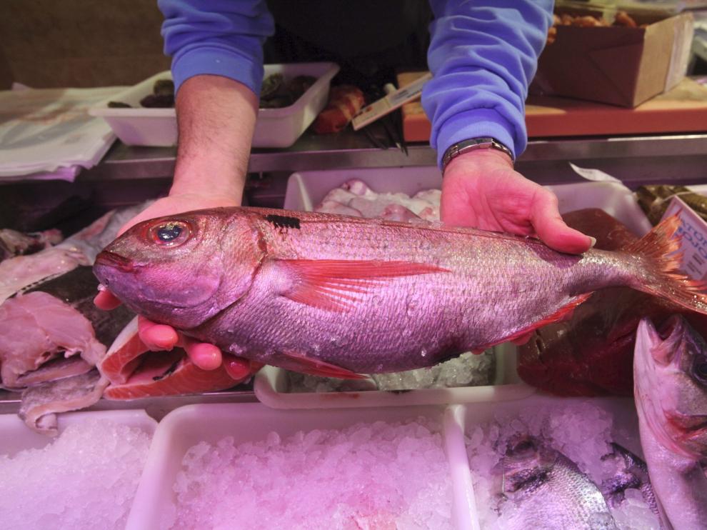 Elegir pescado de temporada ayuda a conservar el medio ambiente.
