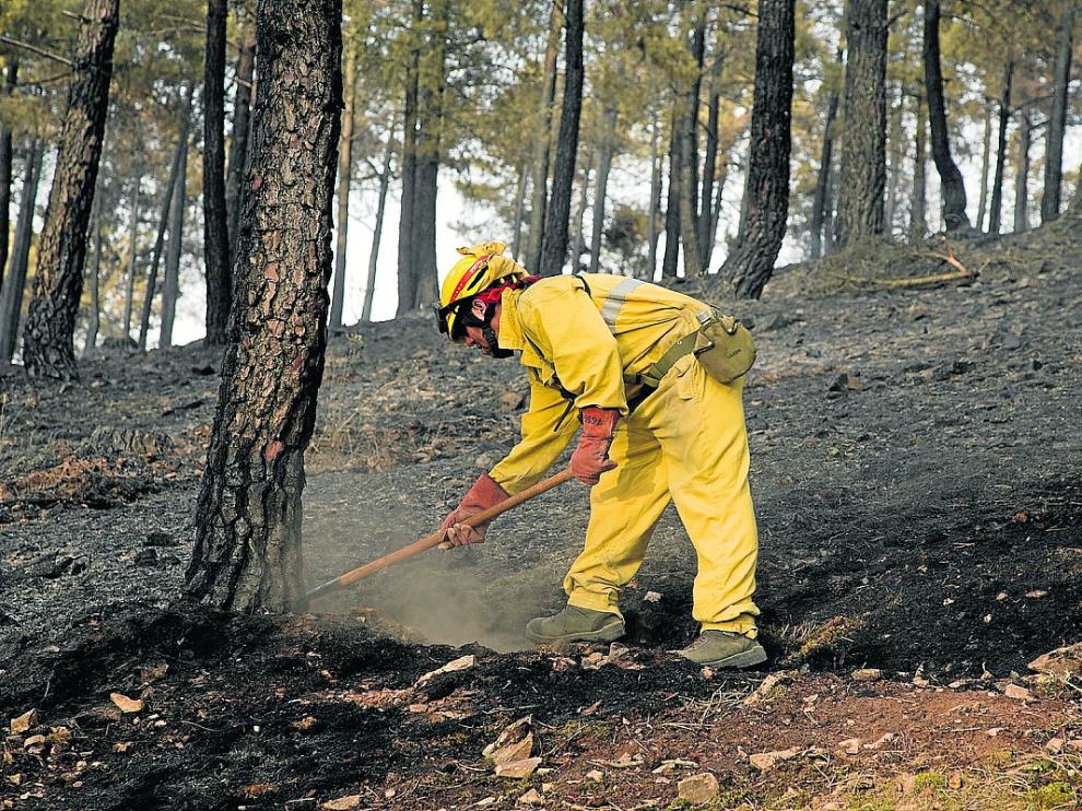 Un miembro del operativo de extinción trabajando ayer a las afueras de Olvés