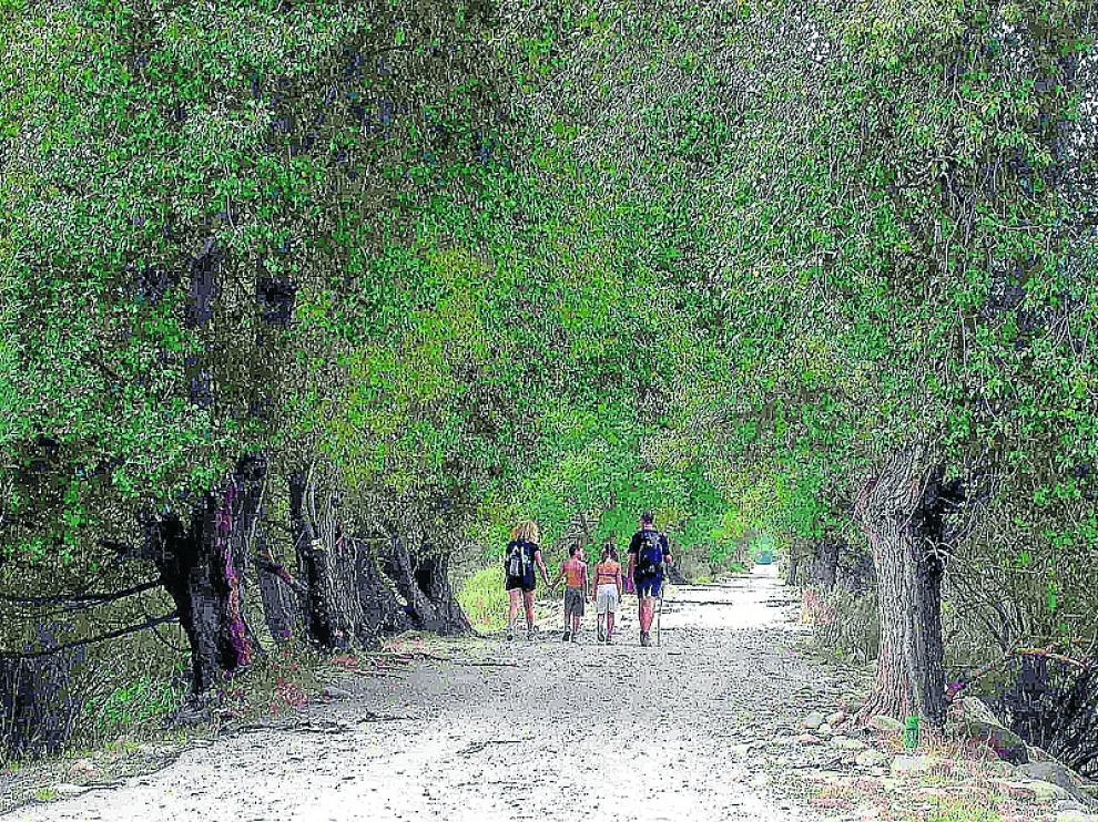 Dos horas de paseo nos llevarán desde Aínsa hasta Boltaña