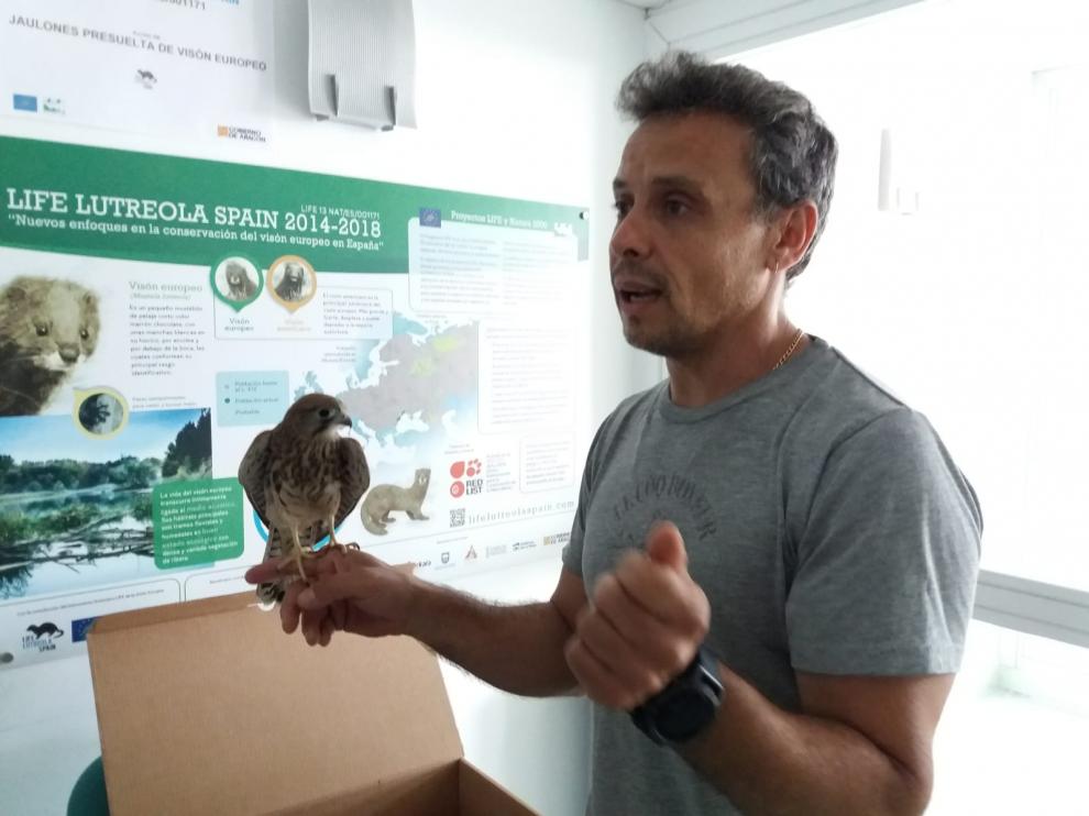 Chabier González, veterinario del Centro de Recuperación de Aves de La Alfranca