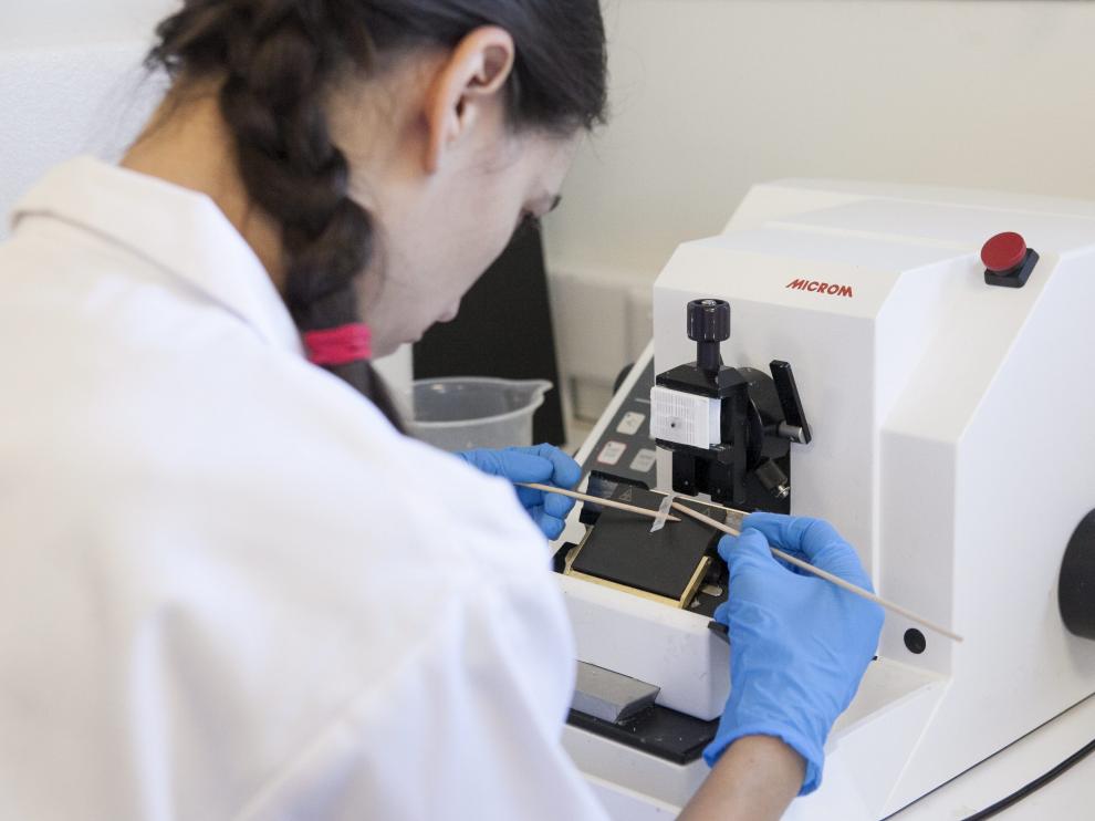 Una veintena de investigadores del CITA participarán en 19 proyectos del Programa de Desarrollo Rural de Aragón