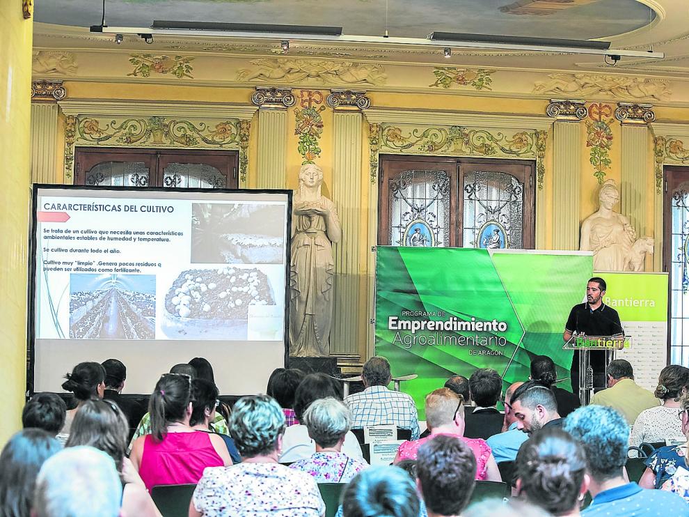 Álvaro Alcalá, durante la presentación de su proyecto empresarial Champiñón del Manubles, en la sede de Bantierra.