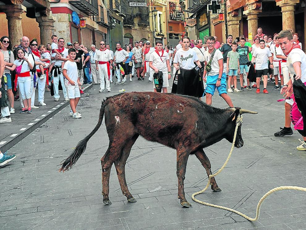 Los niños disfrutaron con las vaquillas ensogadas por la plaza del Torico.