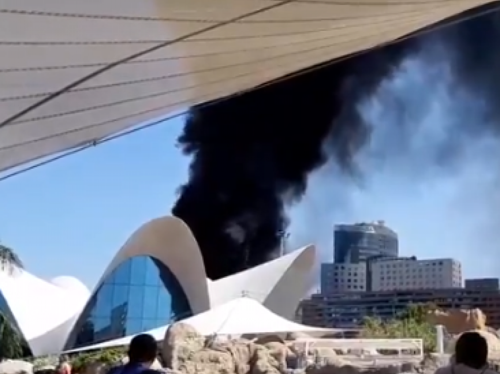 Desalojan el Oceanogràfic por el incendio de una torre de las instalaciones