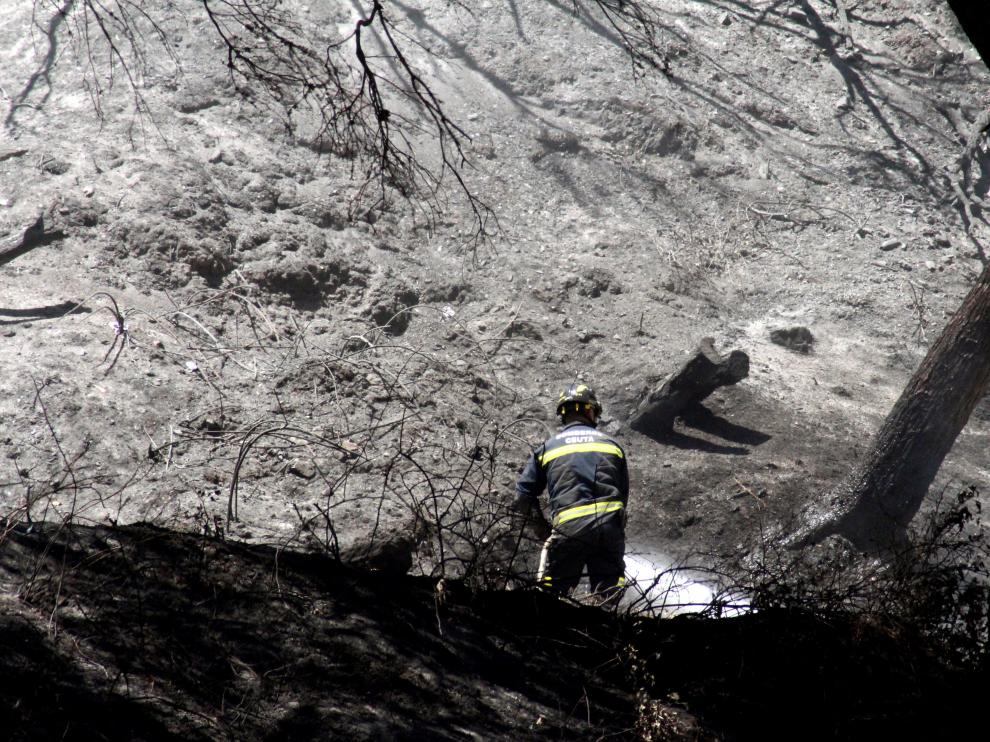 Un bombero trabajando en el incendio forestal de Ceuta.
