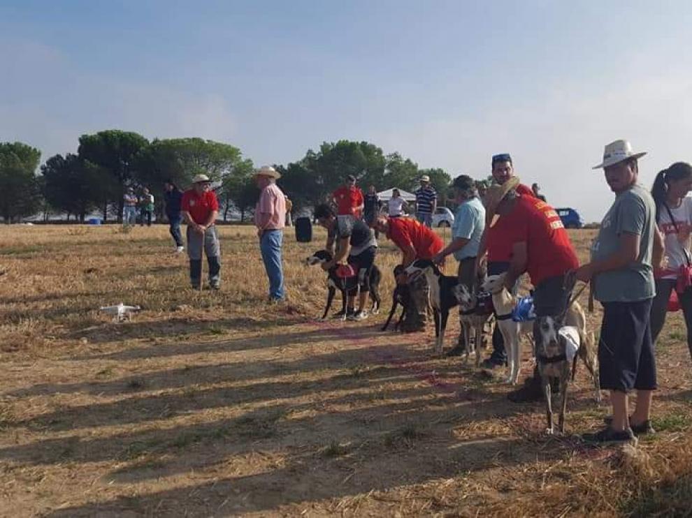 Salida de una de las carreras de esta liga que se está celebrando en los Monegros.