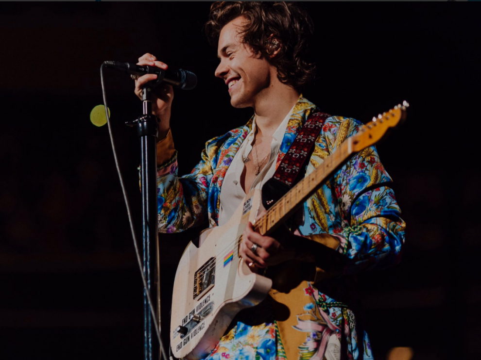El cantante Harry Styles.