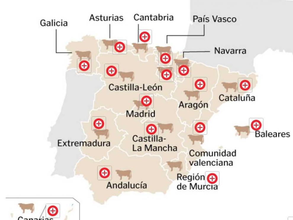Cada comunidad autónoma presume de una receta estrella elaborada con carne de vacuno