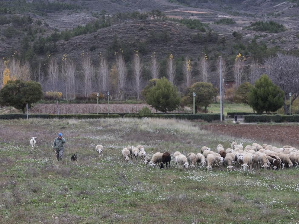 La serie 'Aragón, pueblo a pueblo' ha denunciado la despoblación.