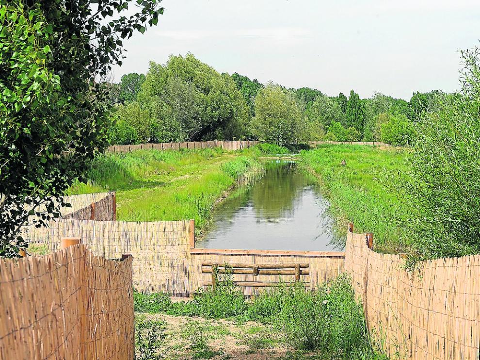 La laguna del Cañizar, cuyo plan de gestión estará redactado en el mes de septiembre.